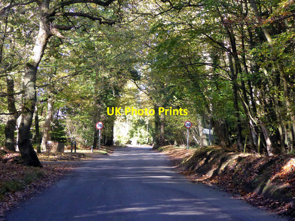 Photo 6"x4" Bramfield Road Bull's Green\/TL2717 c2017