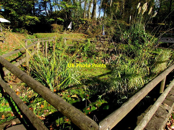 Photo 6"x4" Village pond, Llangattock Lingoed Llangattock Lingoed c2017