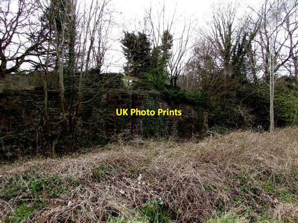 Photo 6"x4" Remains of a railway bridge, Lower Lydbrook Stowfield c2016