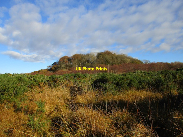 Photo 6"x4" The Hill of Ardmore Kelhurn c2017