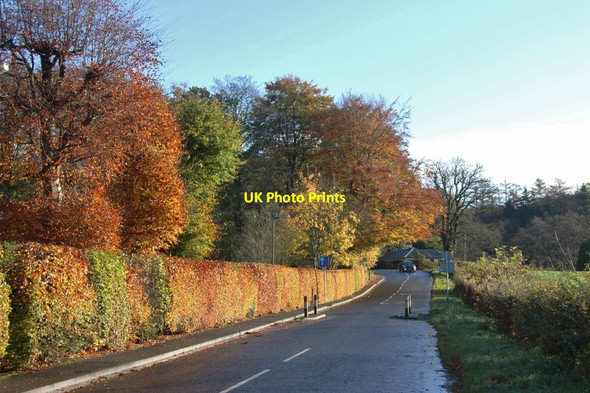 Photo 6"x4" B743 in Sorn Sorn c2017