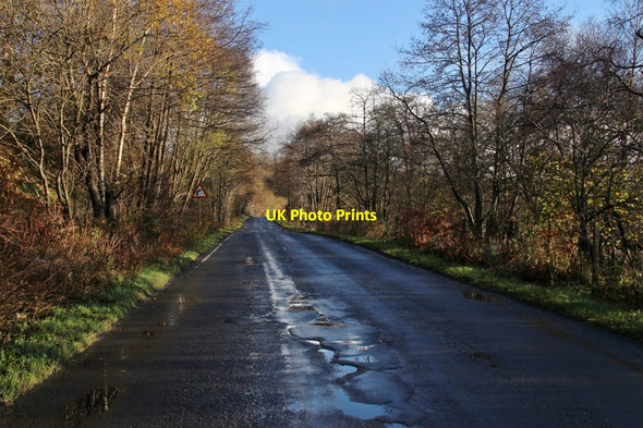 Photo 6"x4" A shady stretch of the B743 at North Limmerhaugh Limmerhaugh Muir c2017