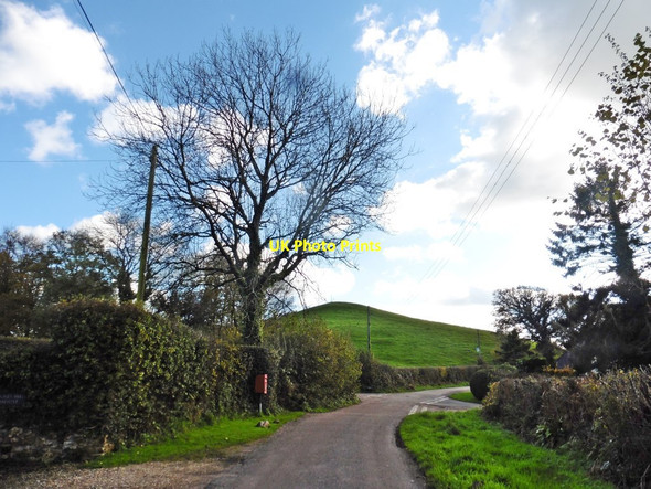 Photo 6"x4" Danes Hill Dalwood c2017