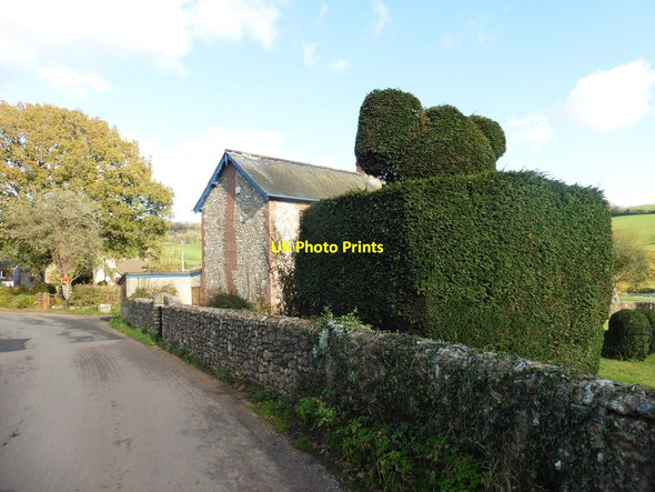 Photo 6"x4" Topiary, Dalwood Dalwood c2017