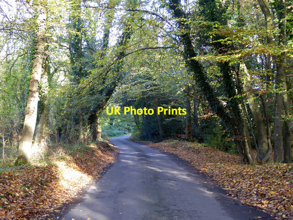 Photo 6"x4" West End Lane West End\/TL2608 c2017