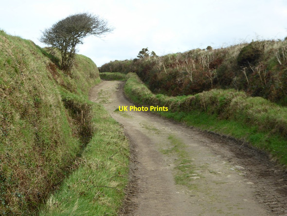 Photo 6"x4" Track near M\u00c3\u00aan-an-Tol Great Bosullow c2017