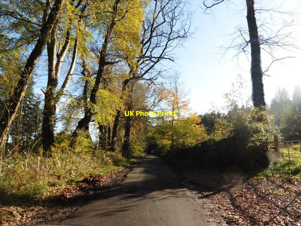 Photo 6"x4" Shute Road Shute\/SY2597 c2017