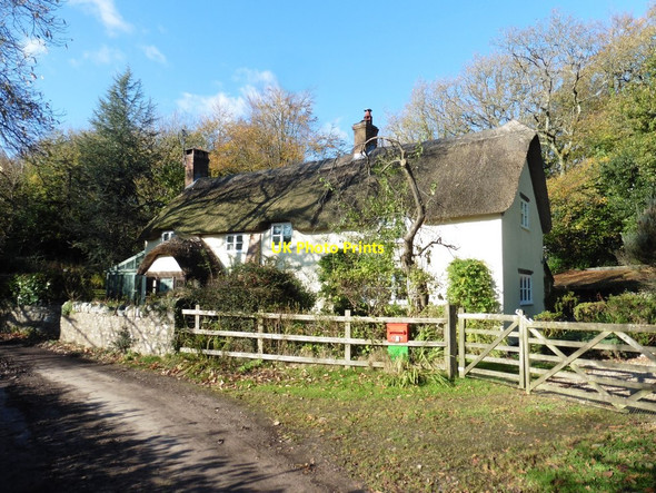 Photo 6"x4" Thatched cottage at Haddon Corner Hampton\/SY2696 c2017