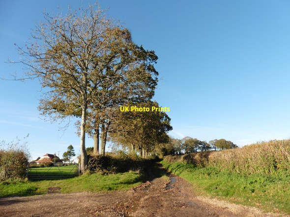 Photo 6"x4" Path to Shute Barton Hampton\/SY2696 c2017