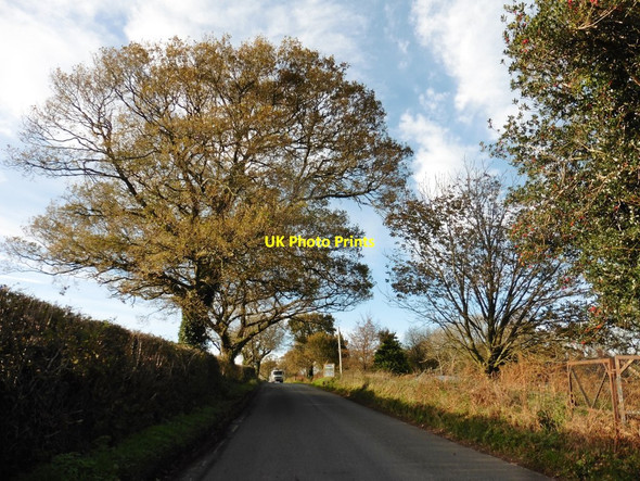 Photo 6"x4" Worhams Lane Lea\/SY2499 c2017