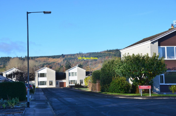 Photo 6"x4" Dukehaugh, Peebles Peebles\/NT2540 c2017