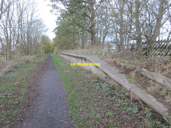 Photo 6"x4" Up platform, Sigglesthorne Station Great Hatfield c2017