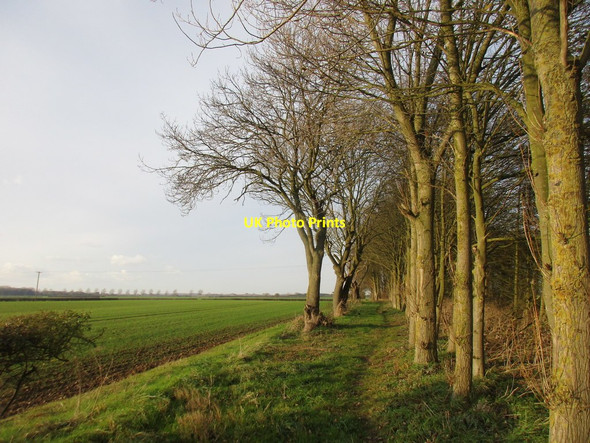 Photo 6"x4" Footpath to Mappleton Road North End\/TA1941 c2017