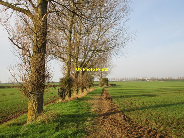 Photo 6"x4" Footpath to Mappleton Road North End\/TA1941 c2017