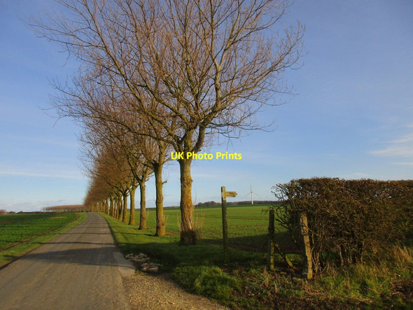 Photo 6"x4" Mappleton Road Goxhill\/TA1844 c2017