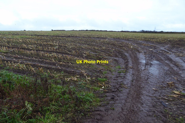 Photo 6"x4" Harvested field of maize Brane c2017