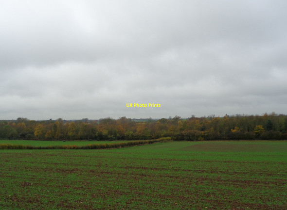 Photo 6"x4" Wood at Thorn Dene, Inkberrow Inkberrow c2017