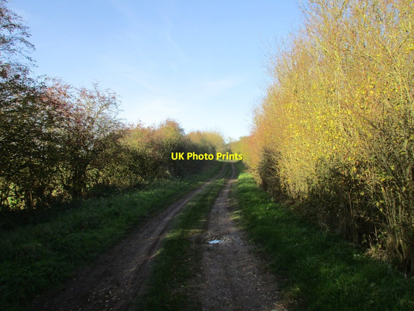 Photo 6"x4" Old Wife Lane Great Cowden c2017