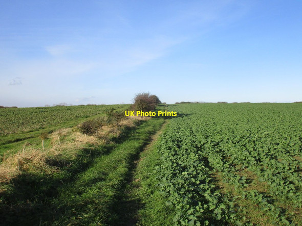 Photo 6"x4" Bridleway to Mappleton Road Great Cowden c2017