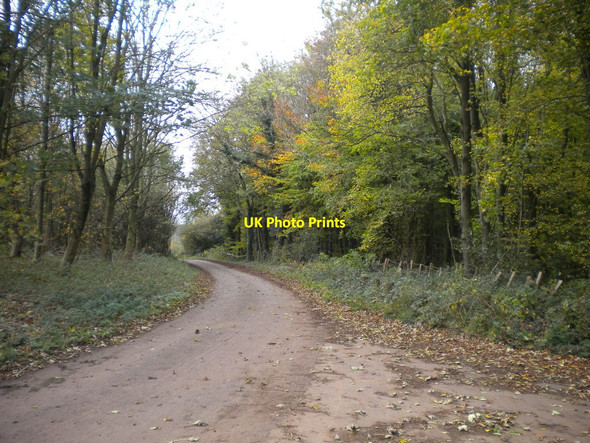 Photo 6"x4" New Road, west of Hucknall Greasley\/SK4947 c2017
