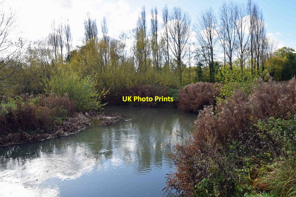 Photo 6"x4" River Windrush, Witney, Oxon Witney c2017