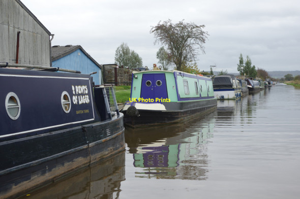 Photo 6"x4" Shropshire Union Canal, Golden Nook Hargrave\/SJ4862 c2017