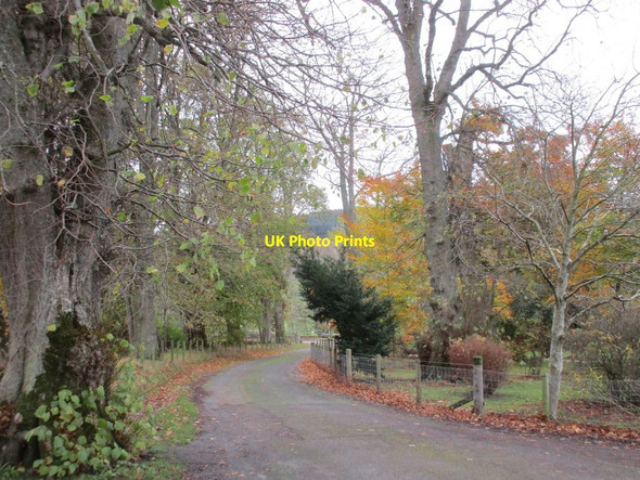 Photo 6"x4" Stobo, driveway from the Manse and church Stobo c2017