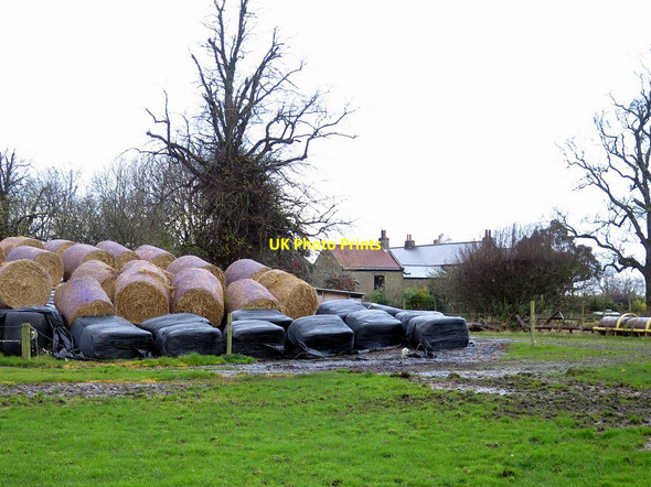 Photo 6"x4" Footpath near West Heddon Houghton\/NZ1266 c2017