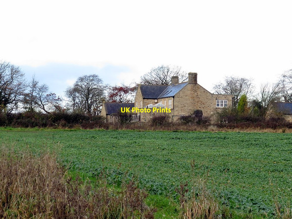 Photo 6"x4" Eachwick South Houses Dalton\/NZ1171 c2017