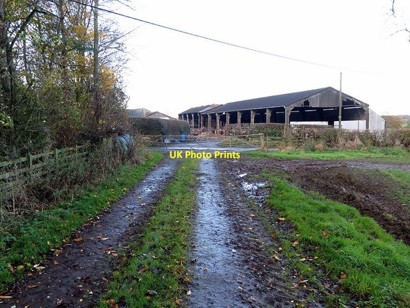 Photo 6"x4" Track near Eachwick House Dalton\/NZ1171 c2017