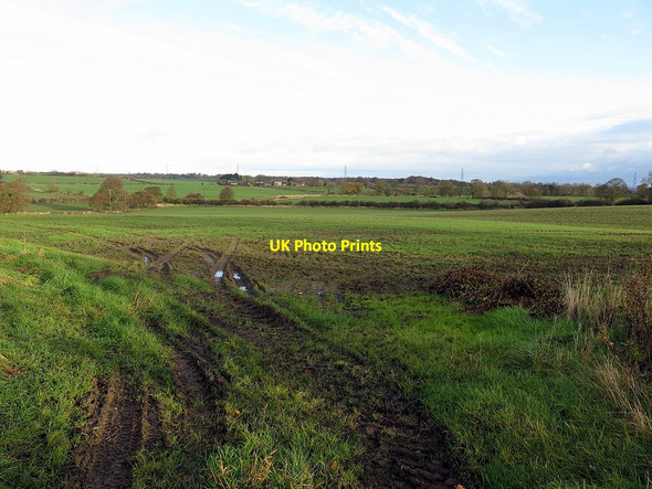Photo 6"x4" Farmland near End On Dalton\/NZ1171 c2017