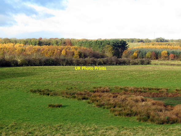 Photo 6"x4" Farmland near Loudside Dalton\/NZ1171 c2017