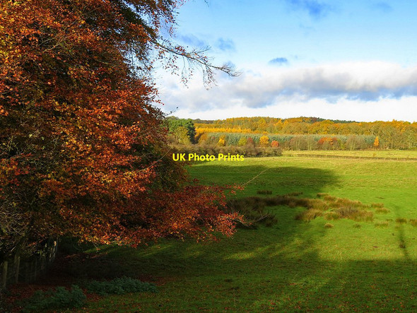 Photo 6"x4" Autumn colours near Loudside Dalton\/NZ1171 c2017