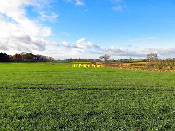 Photo 6"x4" Farmland near Whitchester Horsley\/NZ0966 c2017