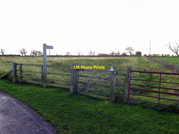 Photo 6"x4" Bridleway near Heddon Steads Houghton\/NZ1266 c2017