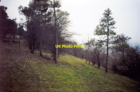 Photo 6"x4" Kingsclere countryside Kingsclere c1996