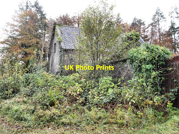 Photo 6"x4" Ruined Building Durrow c2017