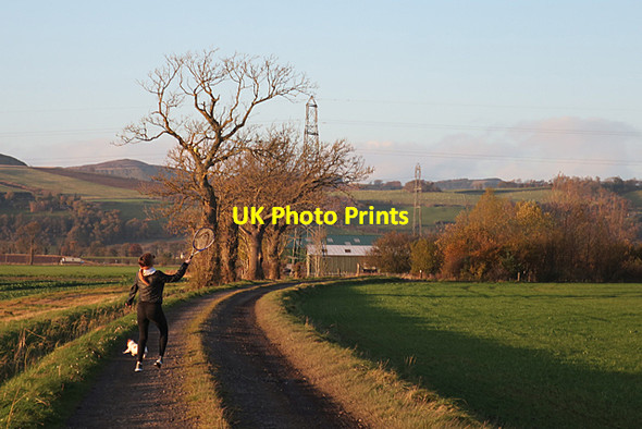 Photo 6"x4" Track to North Grange Grange\/NO2625 c2017