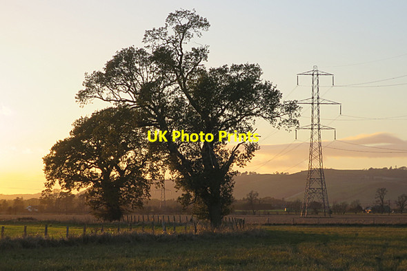 Photo 6"x4" Trees at Sunset Middlebank\/NO2527 c2017