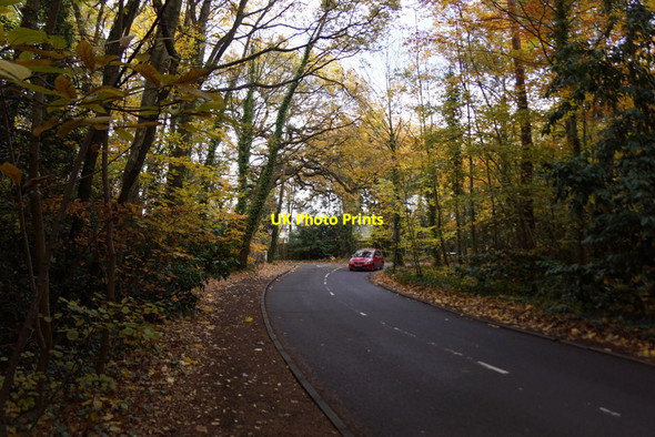 Photo 6"x4" Sandy Lane, Oxshott Oxshott c2017