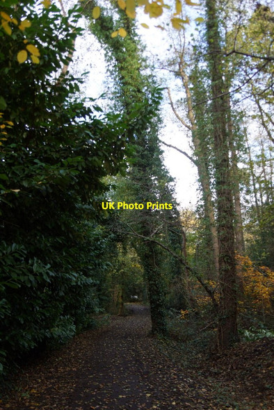 Photo 6"x4" Path to Copsem Lane, Esher Common Esher c2017
