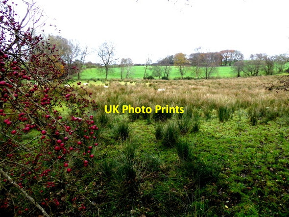 Photo 6"x4" Rough ground, Bancran Beragh c2017