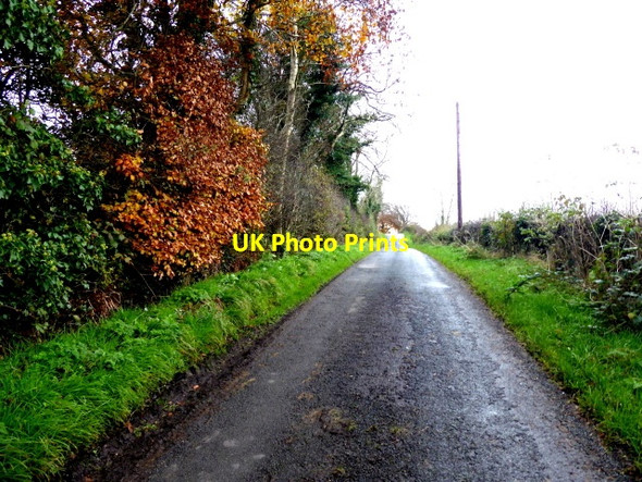 Photo 6"x4" Derroar Road, Bancran Beragh c2017