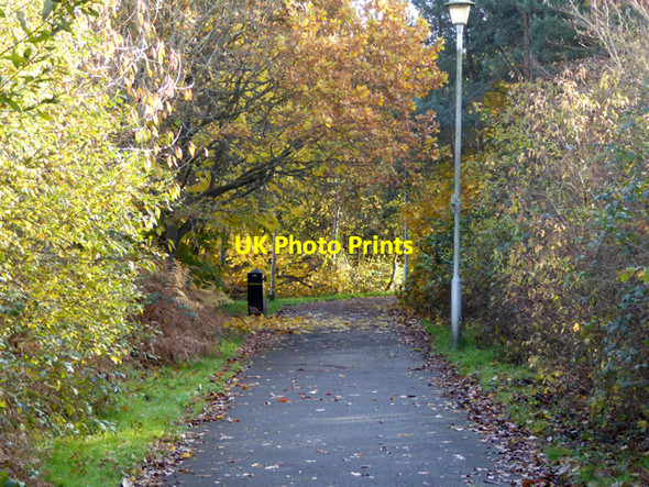 Photo 6"x4" Footpath south from Opladen Way Bracknell c2017