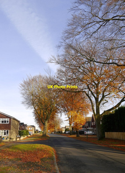 Photo 6"x4" High Beeches, Nork Banstead c2017