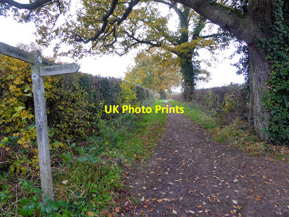 Photo 6"x4" Path junction, Spark's Lane Brook Street\/TQ3026 c2017