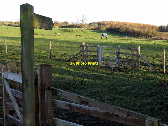 Photo 6"x4" Footpath east of Burnside Farm Bank Top\/NZ1466 c2017
