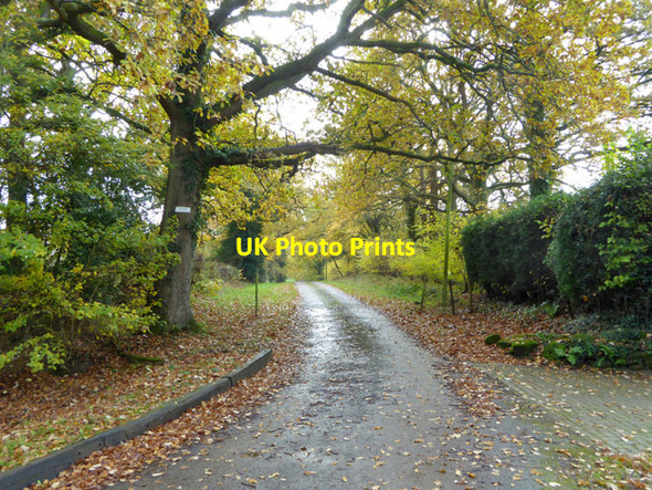 Photo 6"x4" Private road, Bigges Farm Slough Green\/TQ2826 c2017