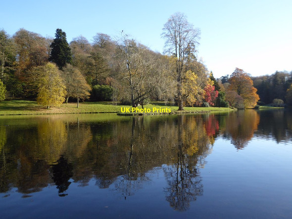 Photo 6"x4" Trees reflected in Garden Lake Stourton\/ST7734 c2017