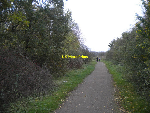 Photo 6"x4" Track towards Bulwell Hall from Westville Hucknall c2017